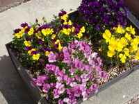 DSC01316.JPG