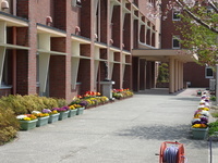 DSC01317.JPG