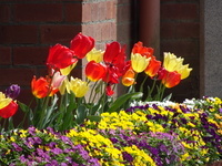 DSC01320.JPG