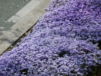 DSC01322.JPG