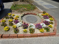 DSC01324.JPG