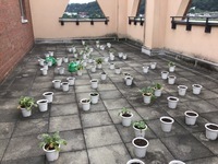 ラデ5.jpg