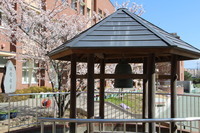 IMG_3788.JPG