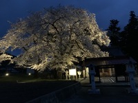 IMG_4045.JPG